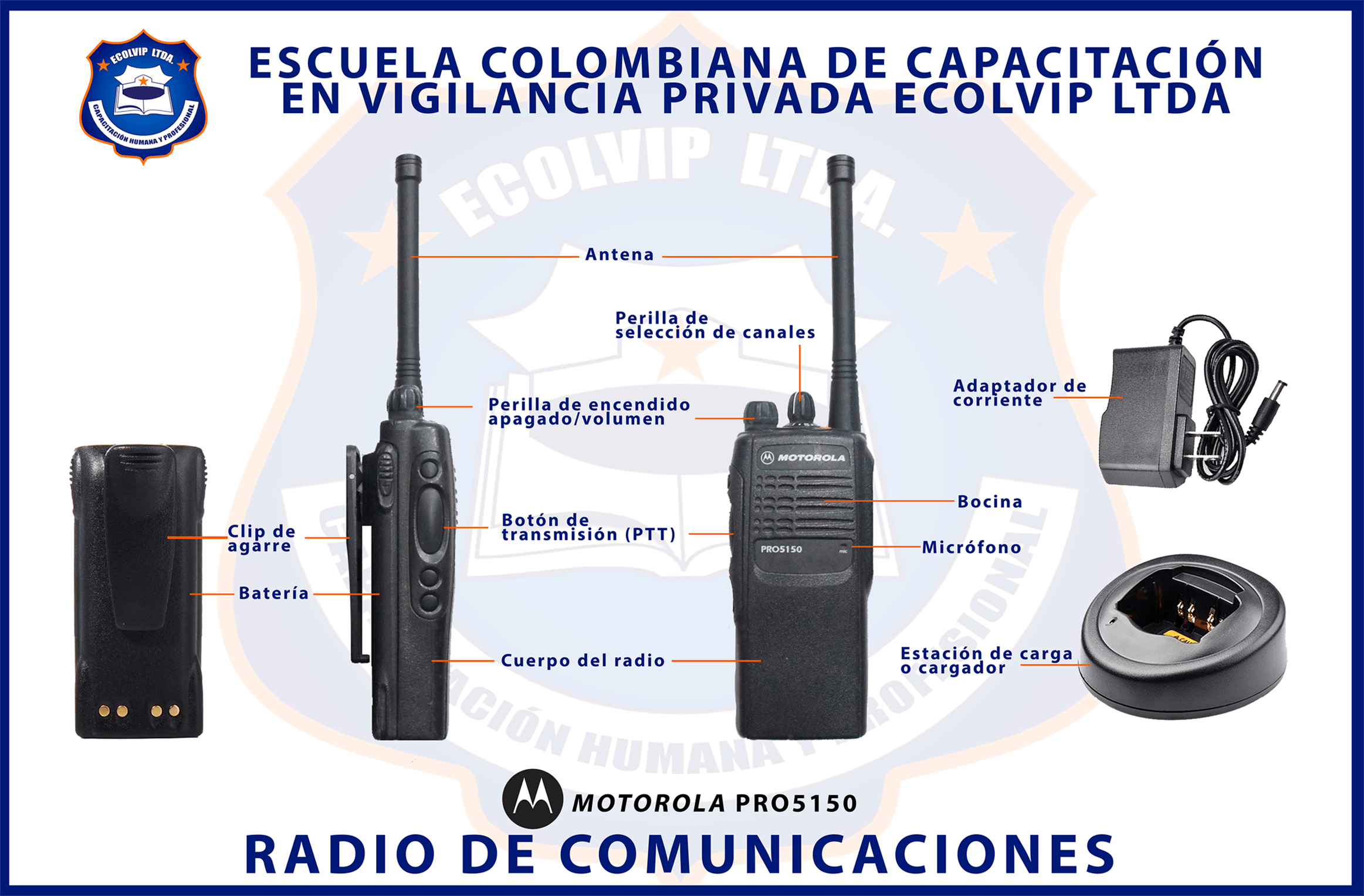 PARTES DEL RADIO ECOLVIP Virtual