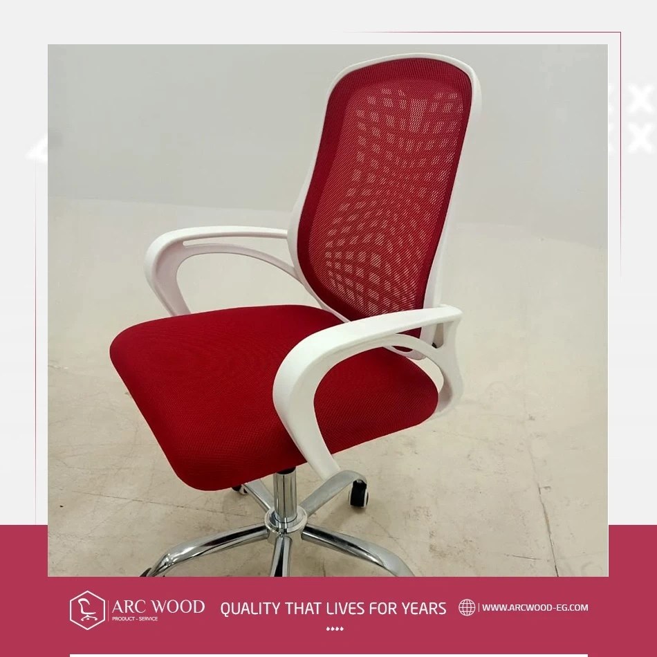 Aluminum manual wheelchair manager chair