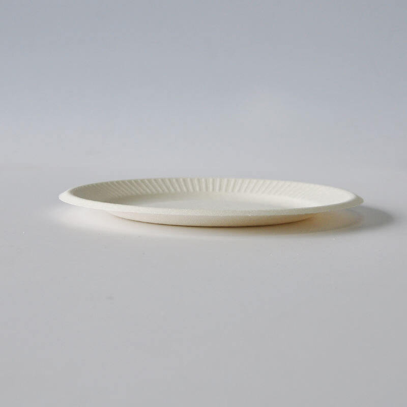 6'' Compostable Plates Eco March