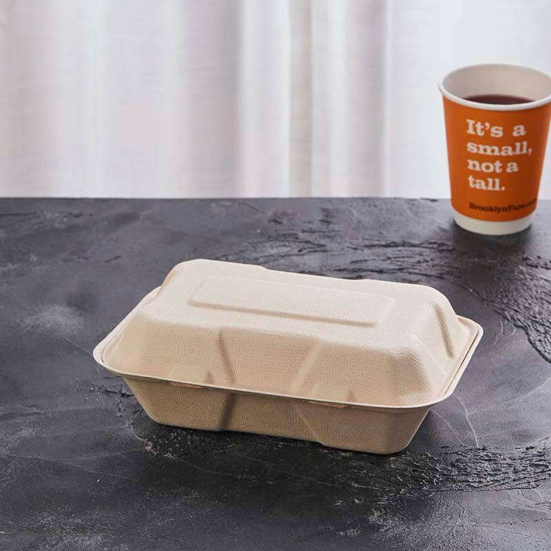 9'' X 6'' Biodegradable Container Eco March
