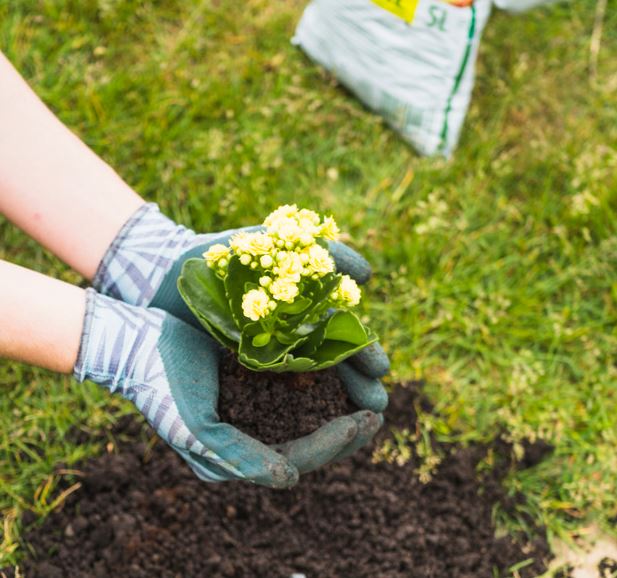 Guide to making Compost
