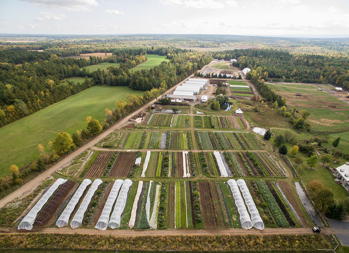Ferme des QuatreTemps Système de production