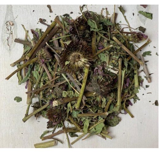 Echinacea purpurea, herbal tea