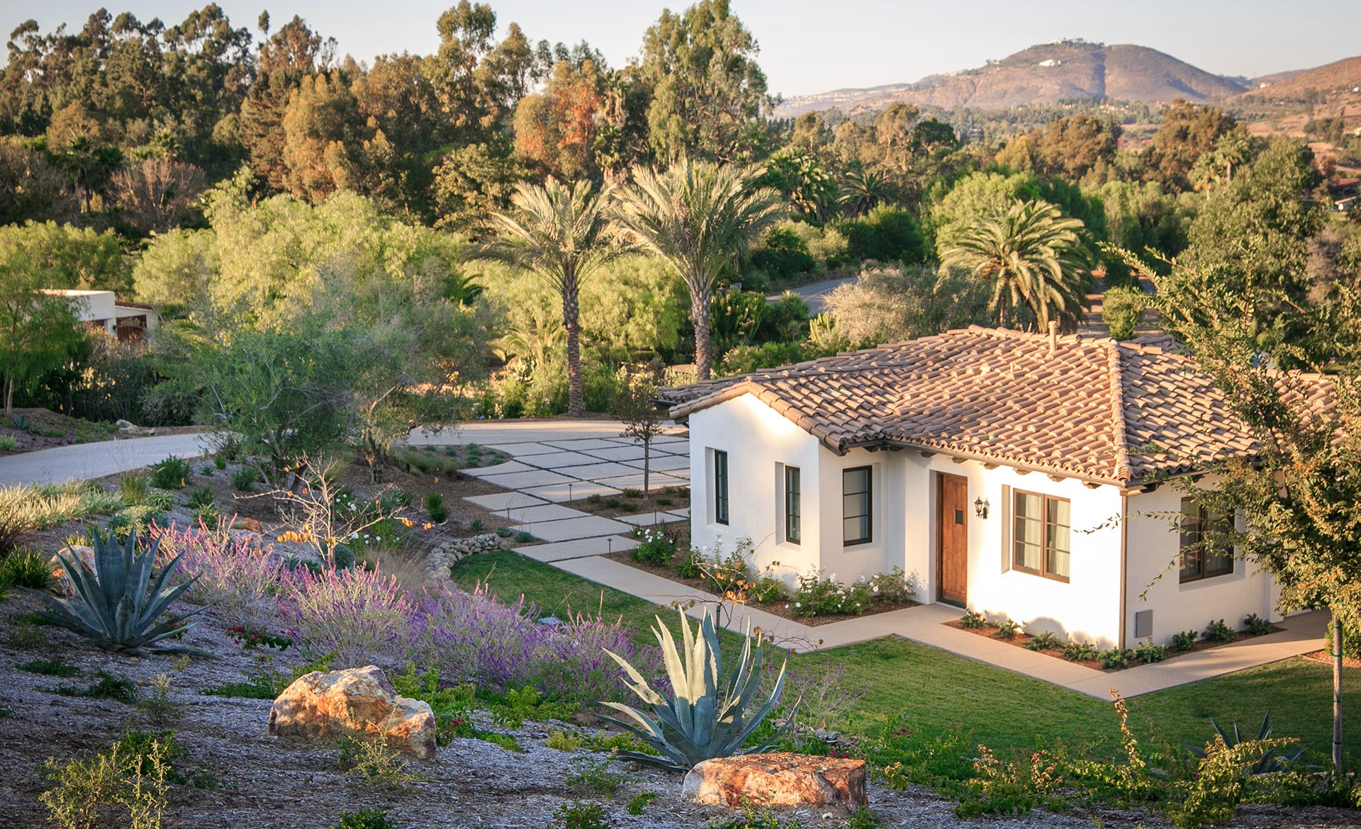 4 DroughtTolerant Landscaping Ideas from San Diego