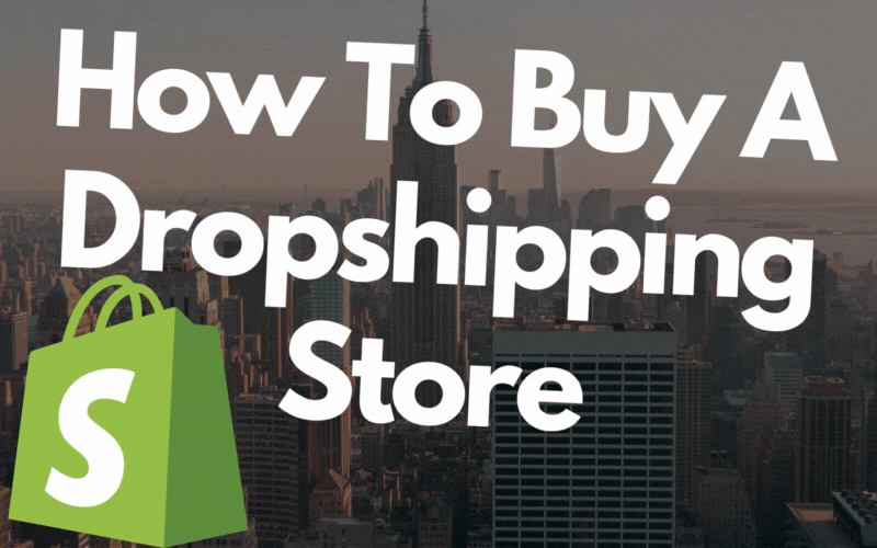 Buy Dropshipping Store Complete Guide 2023