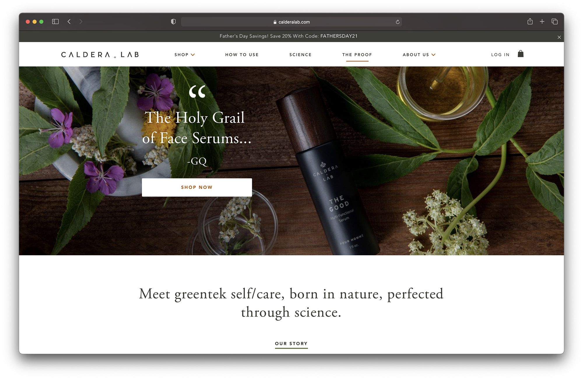 20+ Best Shopify site Design Examples for Inspiration in 2024