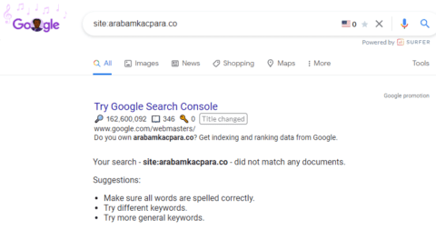 Google and Bing Indexing Processes