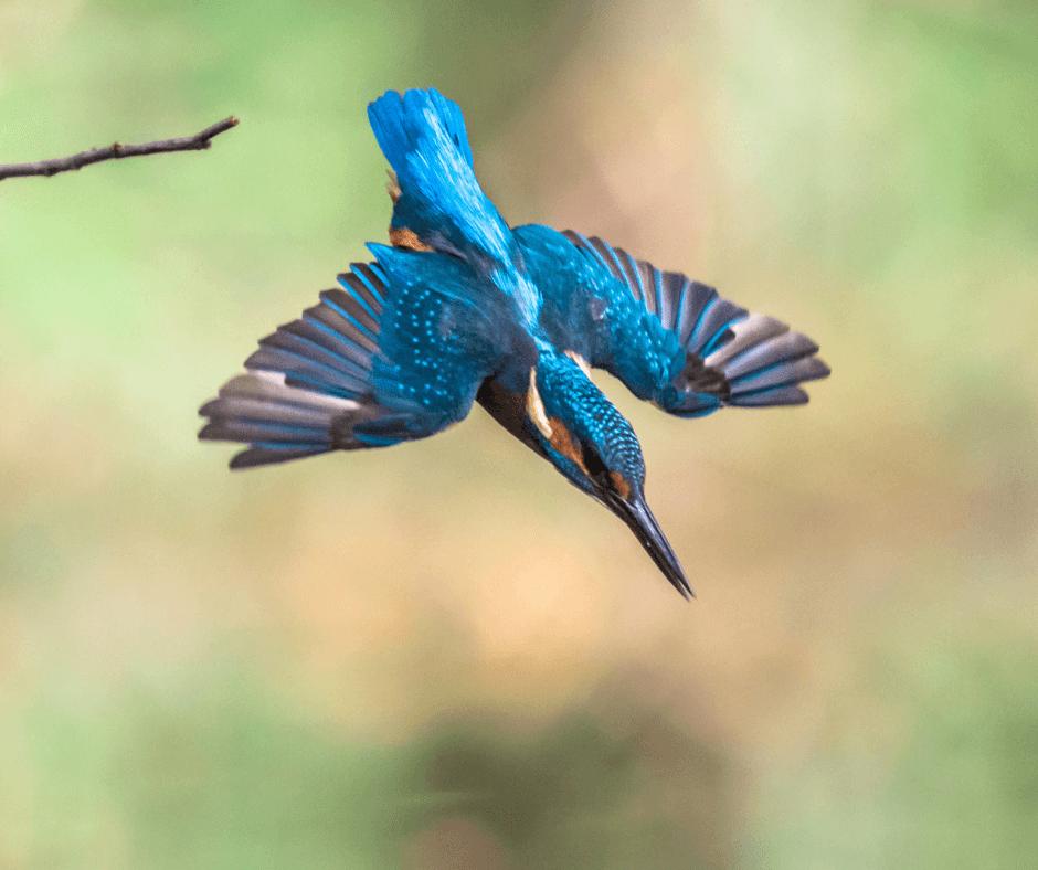 Biomimicry Nature’s Lessons for Sustainable Infrastructure ECOncrete