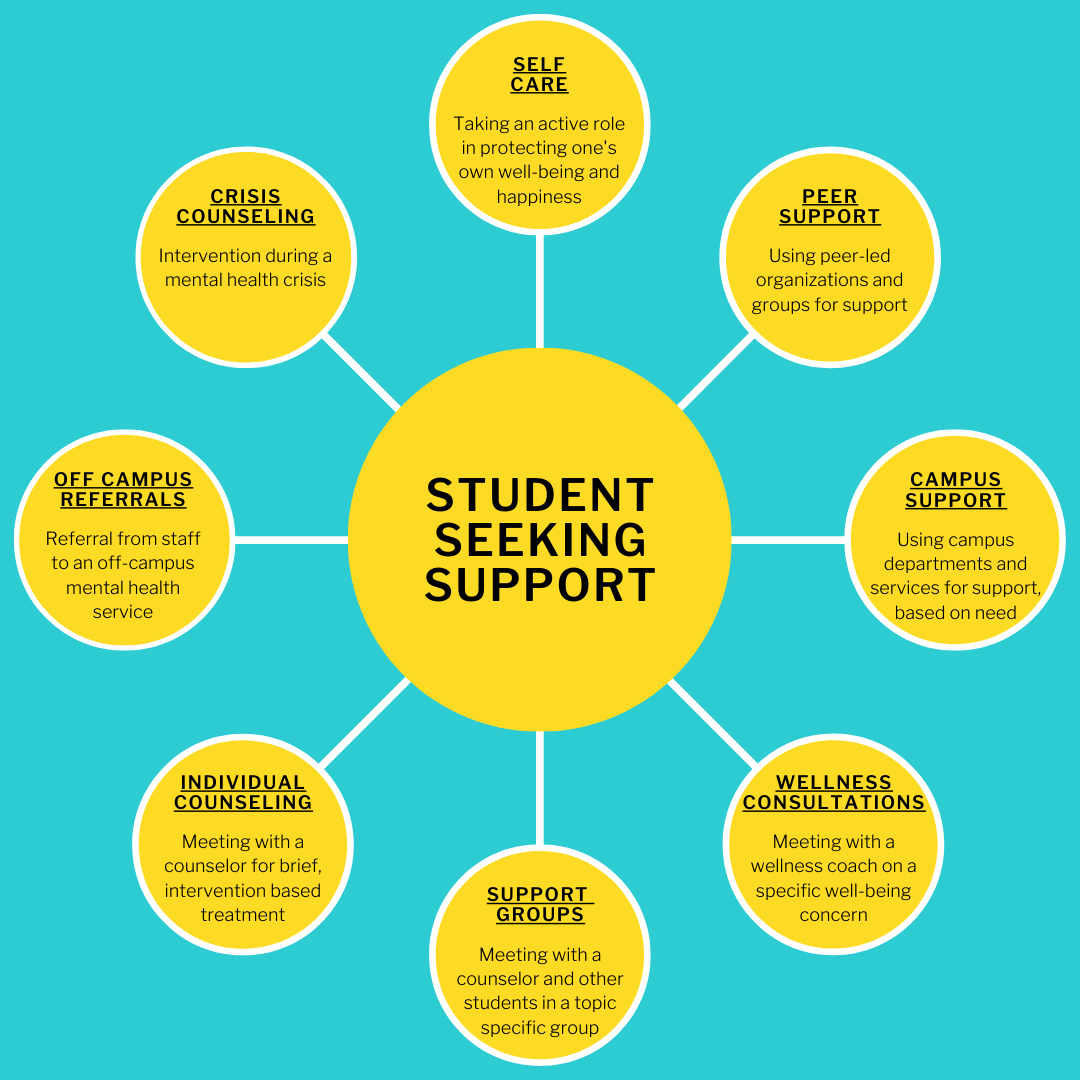 Missouri S&T eConnection Student WellBeing Personalized Care Model
