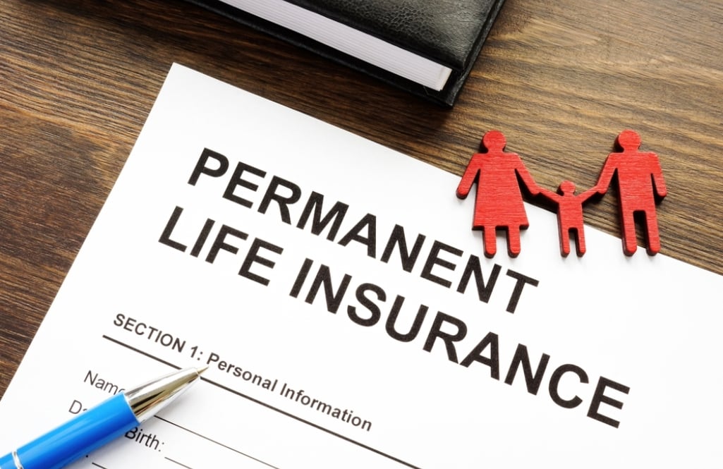 What Is Voluntary Life Insurance? Economic Rulebook