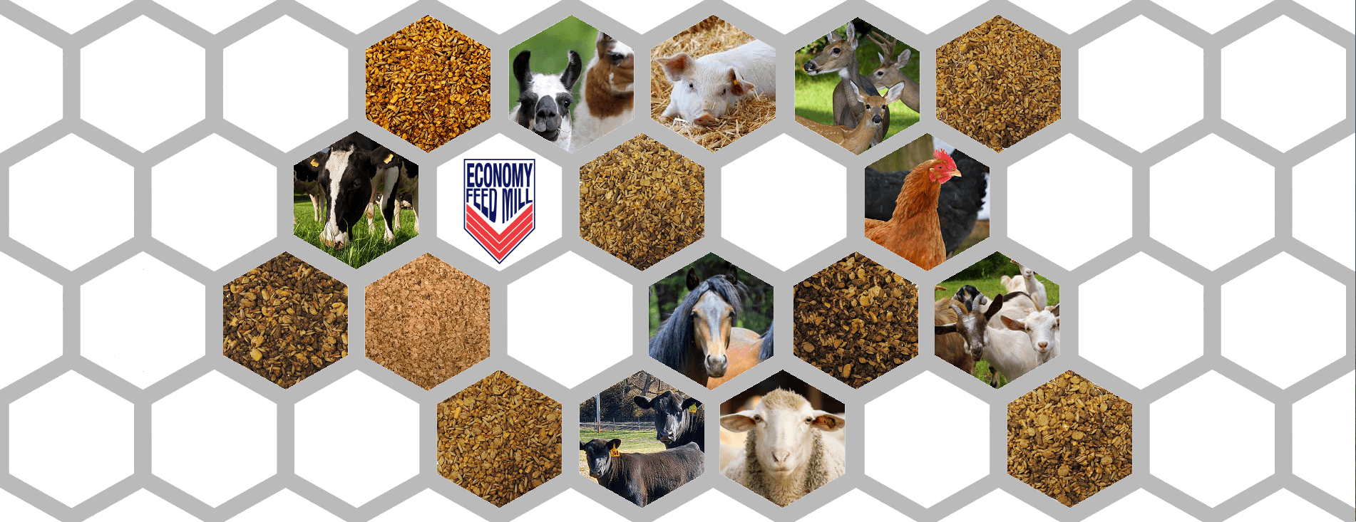 Economy Feed Mill LLC