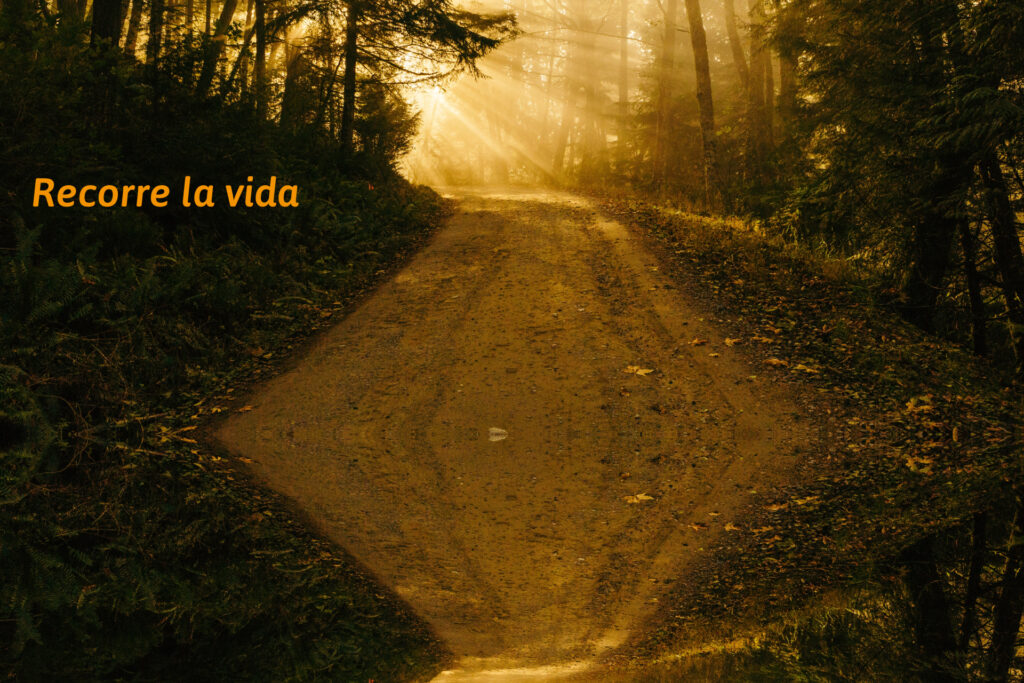 FAQ Econo Rent a Car