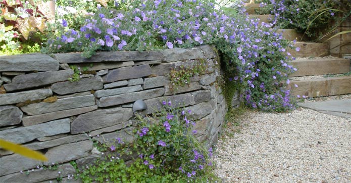 8 Places That Will Change Your Backyard in Redwood City Econo Tree