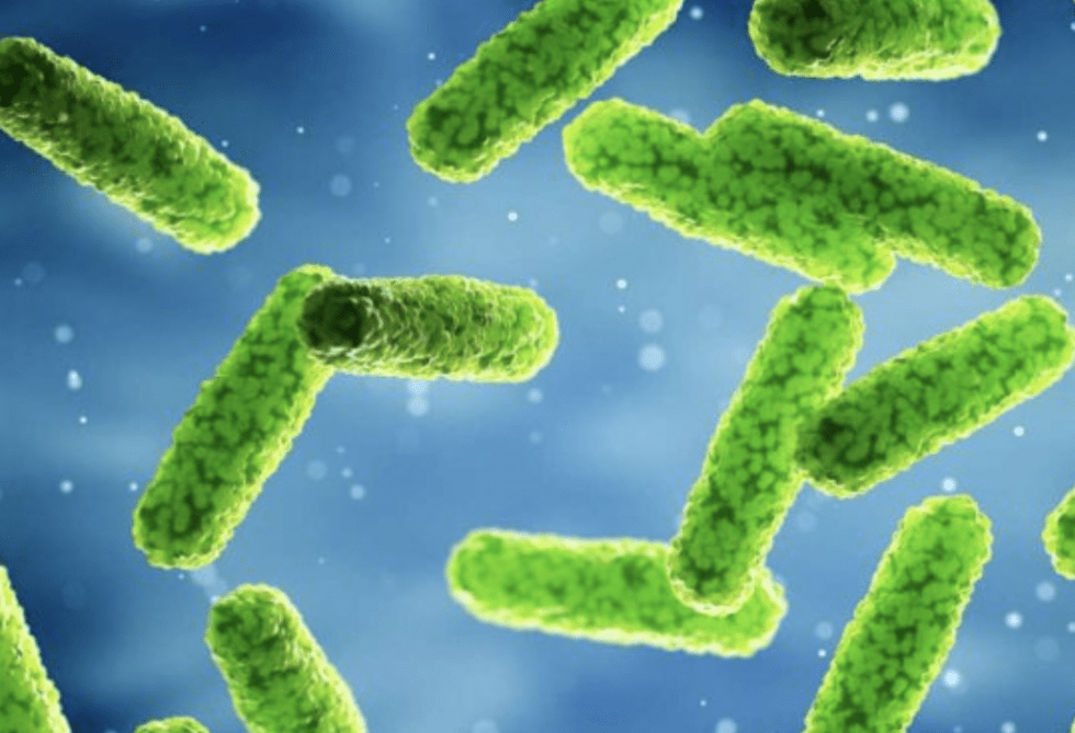 Preventing Legionella in Commercial Hot Water Supplies Energy Control