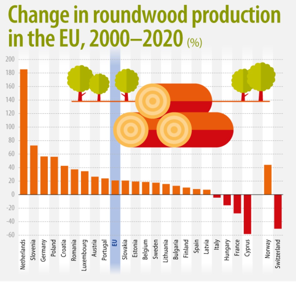 Produção de madeira redonda na UE sobe 21 em 20 anos ECO