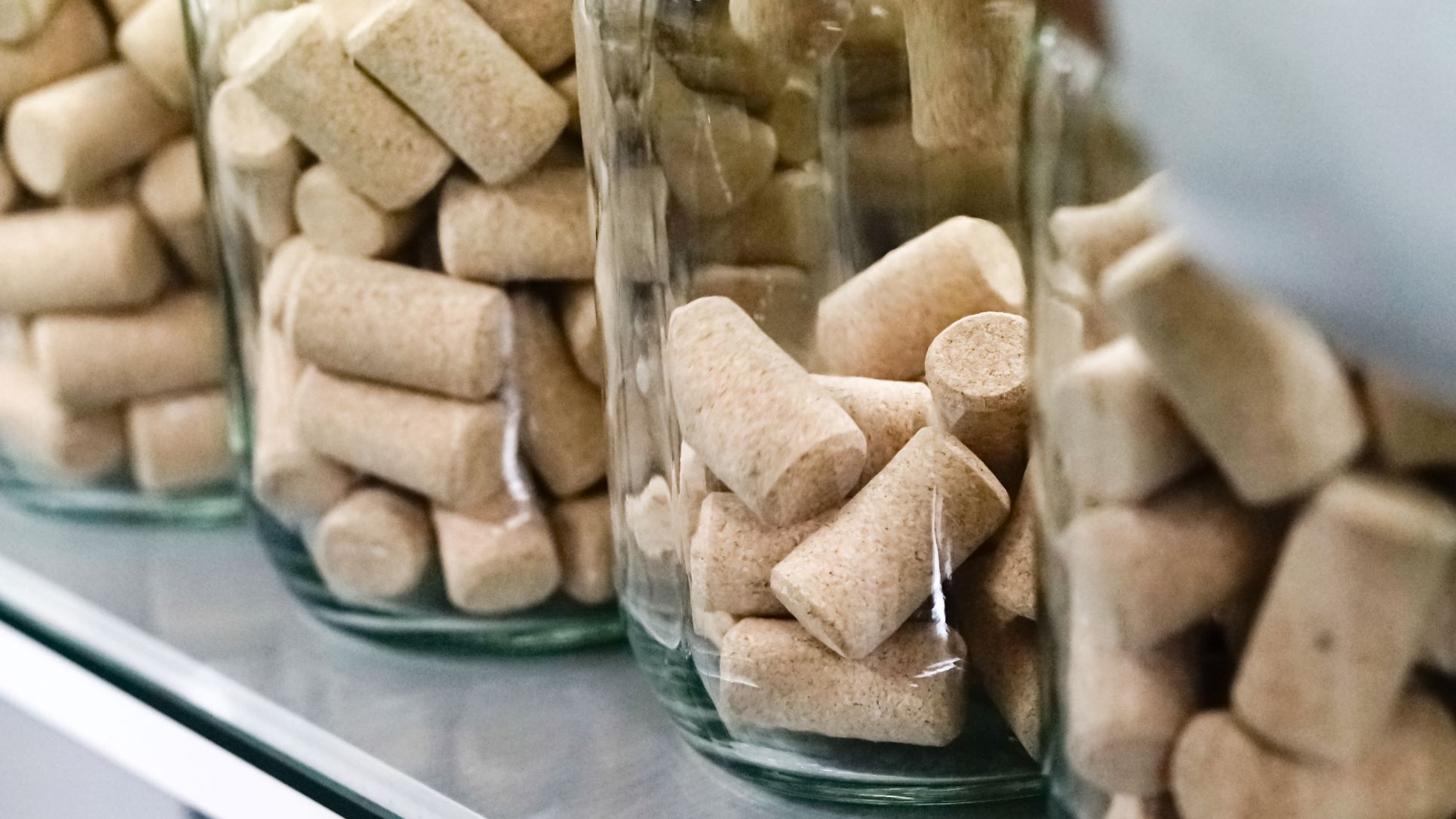 Cork Supply compra duas empresas e constrói nova fábrica em Santa Maria da Feira ECO