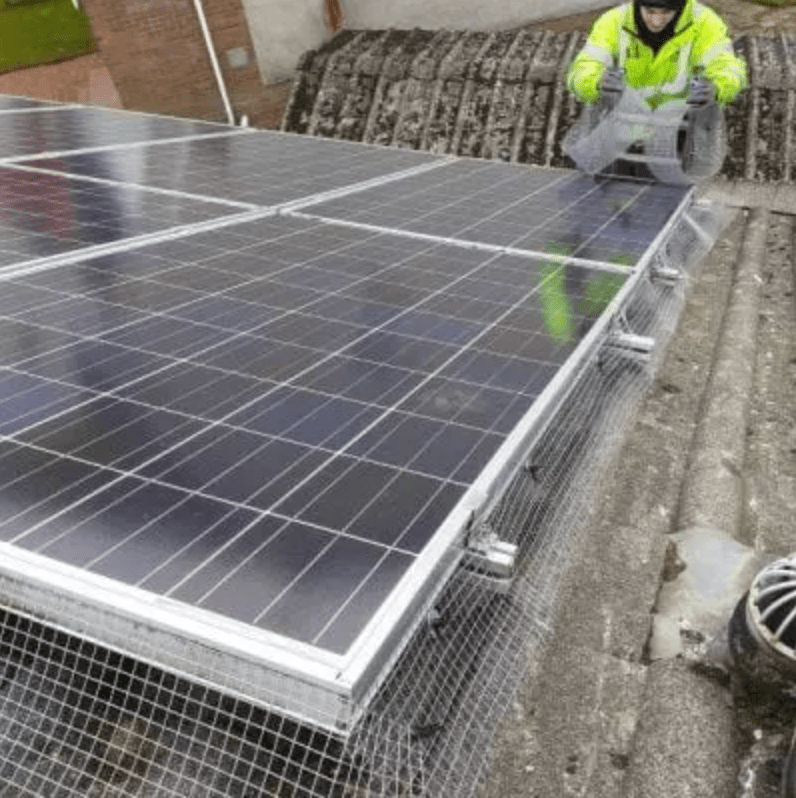Solar Panel Pigeon Proofing Eco Partners Installer and Maintainer