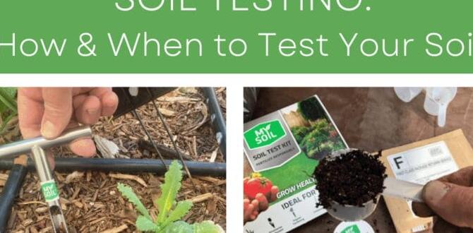Adjusting soil based on test results how to test your soil for gardening Adjusting soil based on test results how to test your soil for gardening