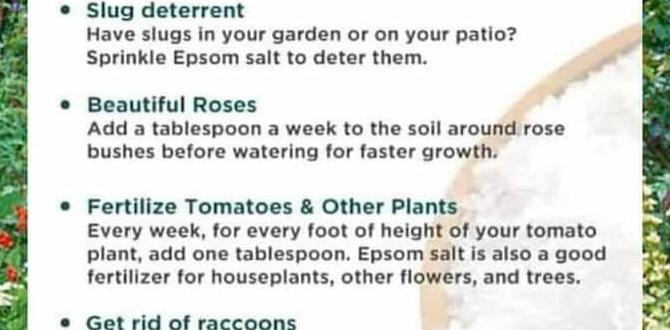 Application methods for epsom salts epsom salts for gardening