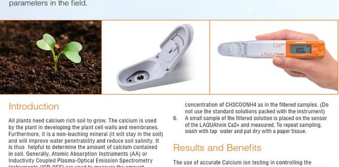 Assessing calcium levels in soil calcium for vegetable gardens Assessing calcium levels in soil calcium for vegetable gardens