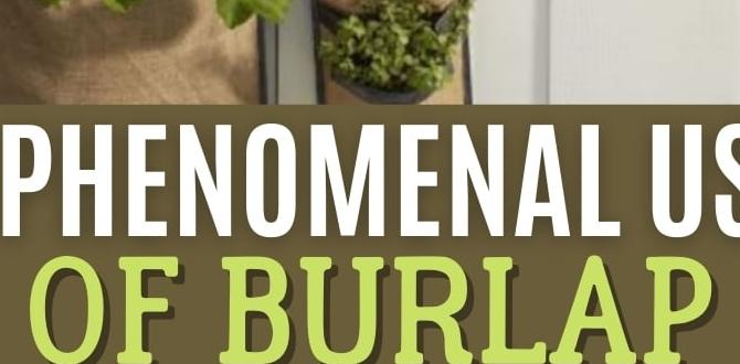 Benefits of using burlap in gardening burlap for gardens Benefits of using burlap in gardening burlap for gardens