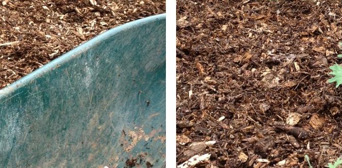 Benefits of using colored mulch is colored mulch safe for vegetable gardens