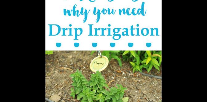 Benefits of using drip lines in gardens drip lines for gardens