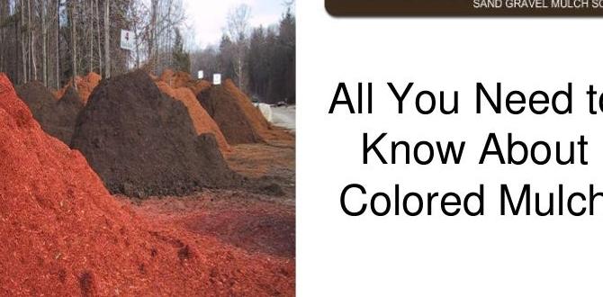Best practices for using mulch in vegetable gardens is colored mulch safe for vegetable gardens