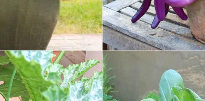 Choosing the right containers container gardening for vegetables
