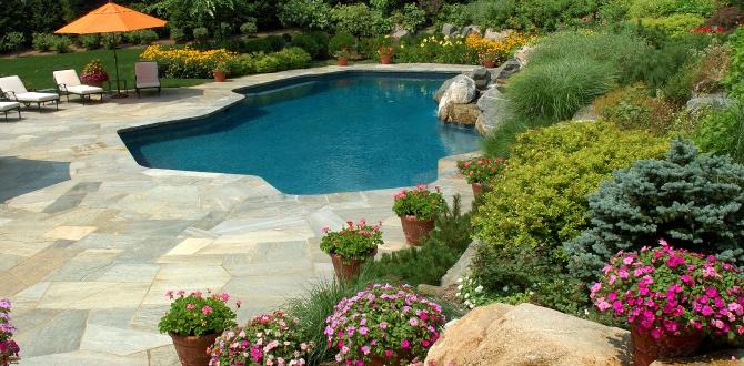 Choosing the right location pools for gardens Choosing the right location pools for gardens