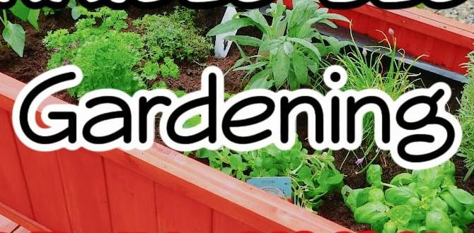 Choosing the right location raised gardening for beginners Choosing the right location raised gardening for beginners