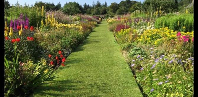 Climate considerations in choosing borders ideas for borders in gardens Climate considerations in choosing borders ideas for borders in gardens