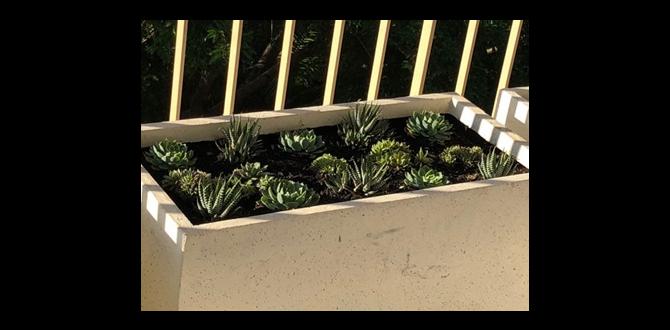 Common challenges faced by beginners gardening clubs for beginners Common challenges faced by beginners gardening clubs for beginners