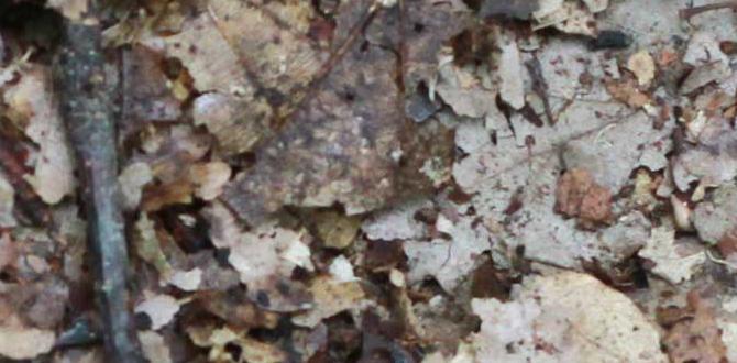 Common composting mistakes to avoid is compost good for gardens Common composting mistakes to avoid is compost good for gardens