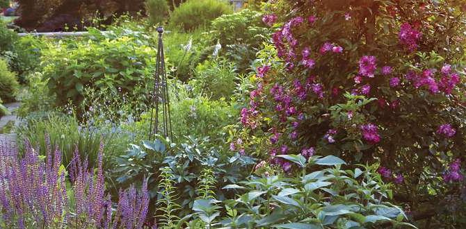 Common mistakes to avoid colour schemes for gardens Common mistakes to avoid colour schemes for gardens