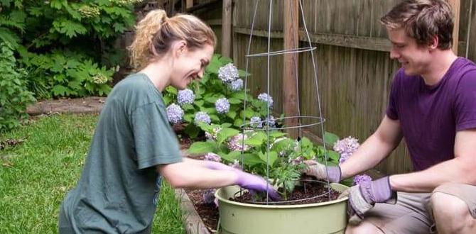 Common mistakes to avoid gardening ideas for front yard Common mistakes to avoid gardening ideas for front yard