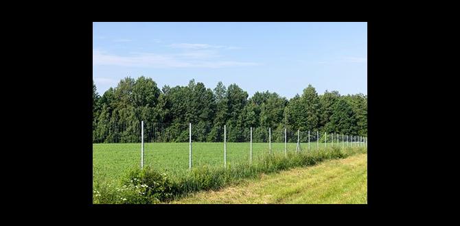 Common mistakes to avoid in wire fencing for gardens wire fencing for gardens