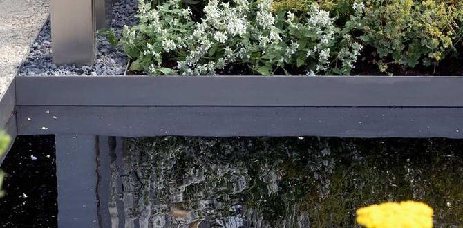 Common mistakes to avoid plant borders for gardens Common mistakes to avoid plant borders for gardens