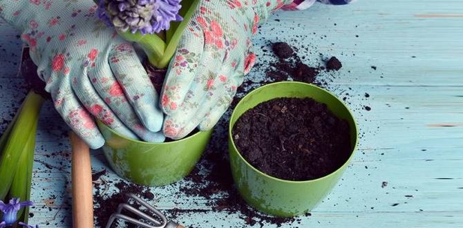 Common mistakes to avoid when using tarps in gardening tarp for gardening Common mistakes to avoid when using tarps in gardening tarp for gardening