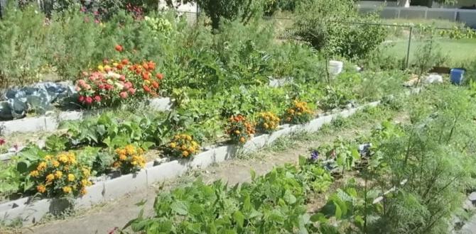 Common mistakes to avoid with cinder blocks in gardening cinder blocks for gardens Common mistakes to avoid with cinder blocks in gardening cinder blocks for gardens