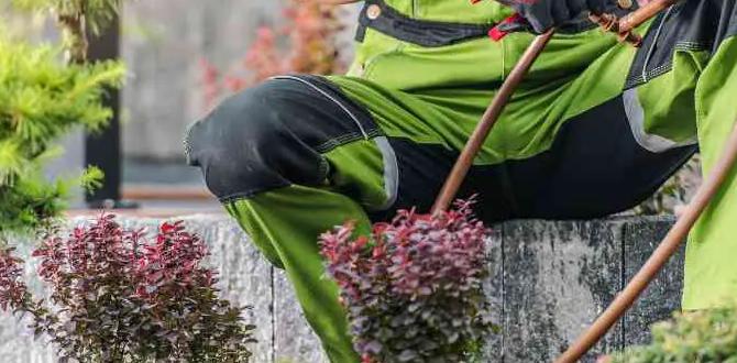 Common problems and solutions drip systems for gardens Common problems and solutions drip systems for gardens