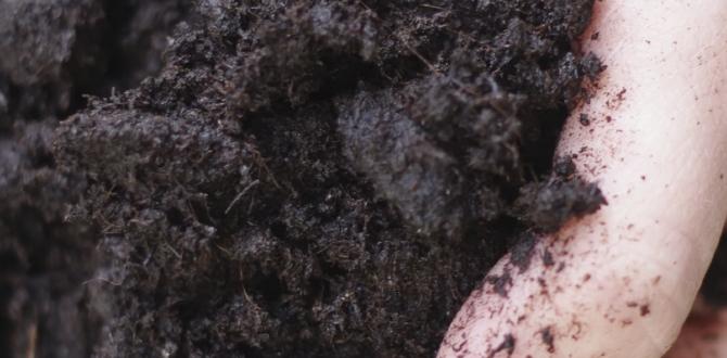 Complementary resources for soil improvement free soil for gardening Complementary resources for soil improvement free soil for gardening