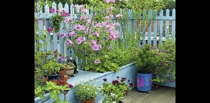 Creating a focal point decking ideas for small gardens Creating a focal point decking ideas for small gardens