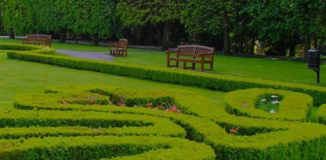 Creating a focal point with garden features garden ideas for square gardens Creating a focal point with garden features garden ideas for square gardens