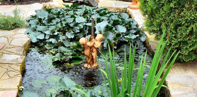 Creating a relaxation space in your garden a little break for hard working gardener mofos Creating a relaxation space in your garden a little break for hard working gardener mofos