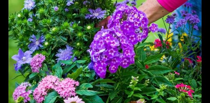 Creating a yearround food source gardening for pollinators Creating a yearround food source gardening for pollinators