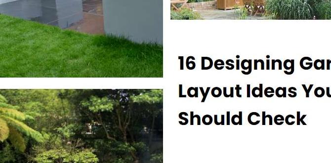 Designing your garden layout steps for gardens Designing your garden layout steps for gardens