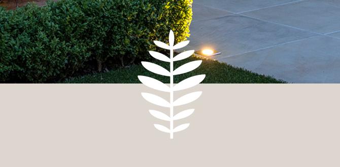 Designing your water feature water features for gardens