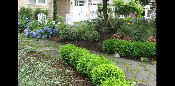 Ecofriendly hedging practices hedging ideas for front gardens Ecofriendly hedging practices hedging ideas for front gardens