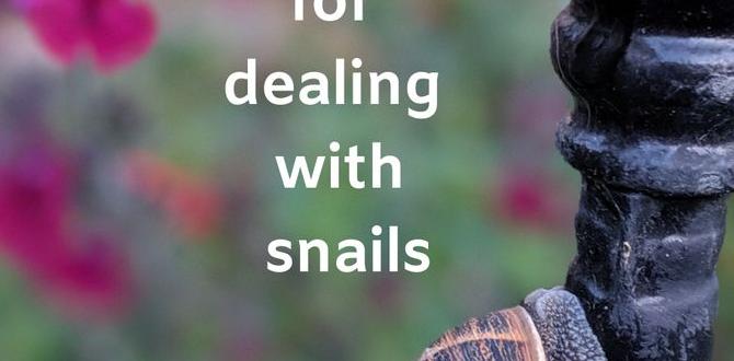 Effective snail control methods are snails bad for gardens
